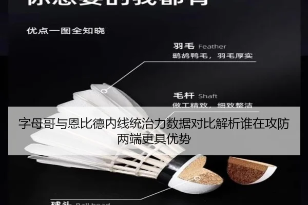 字母哥与恩比德内线统治力数据对比解析谁在攻防两端更具优势